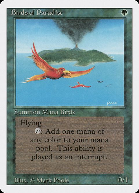 Birds of Paradise (187)