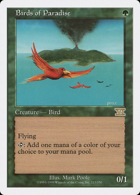 Birds of Paradise (217)