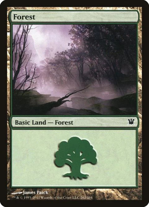 Forest (262)