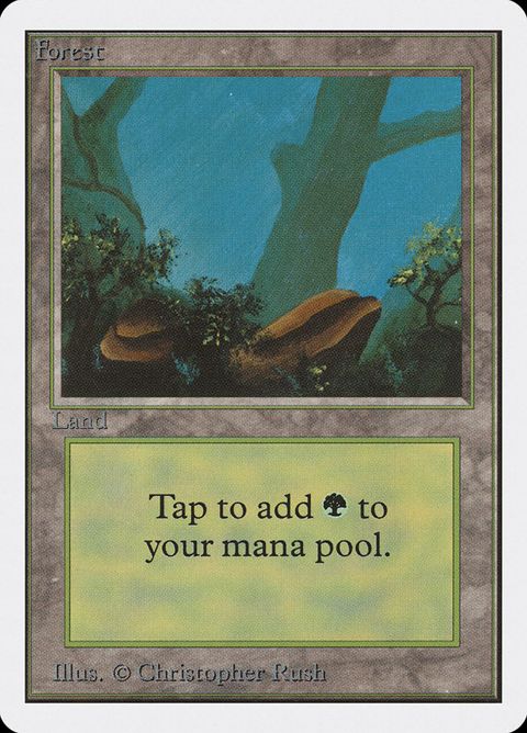 Forest (300)