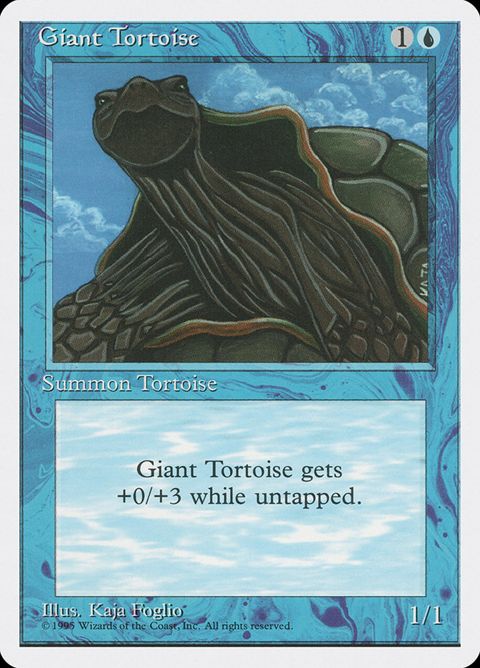 Giant Tortoise (76)