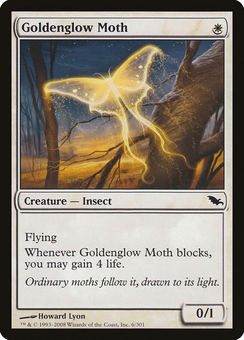 Goldenglow Moth (6)