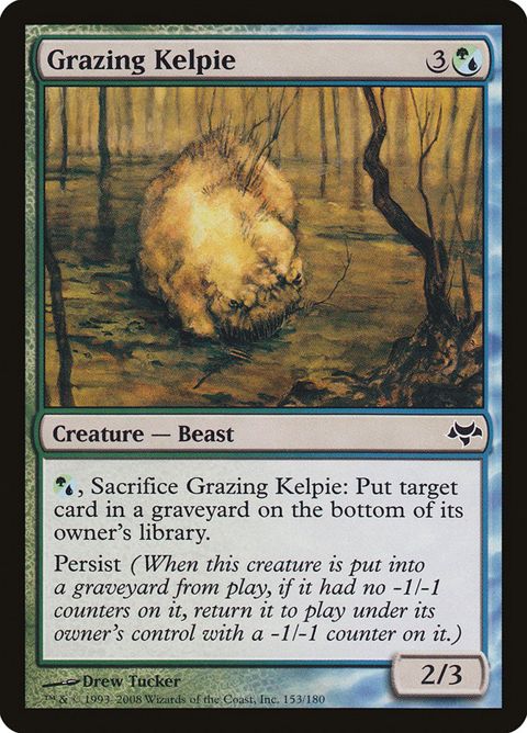 Grazing Kelpie (153)