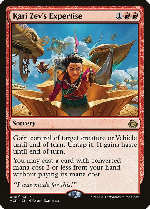 Kari Zev's Expertise (88)