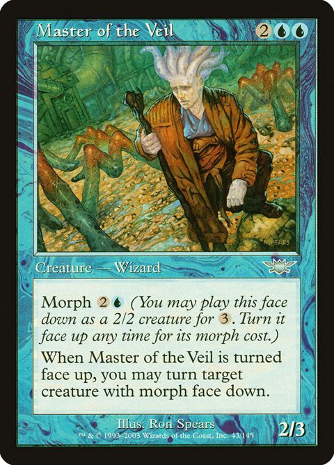 Master of the Veil (43)