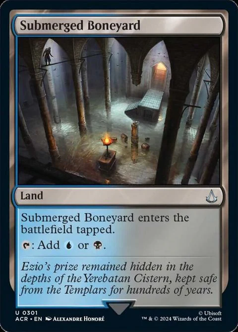 Submerged Boneyard (301)