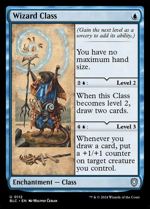 Wizard Class (112)