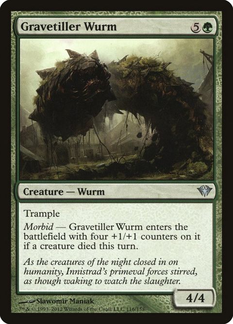 Gravetiller Wurm (116)