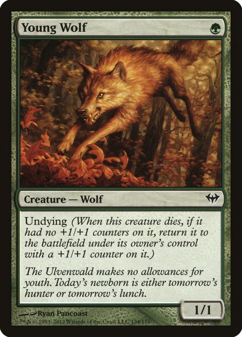 Young Wolf (134)