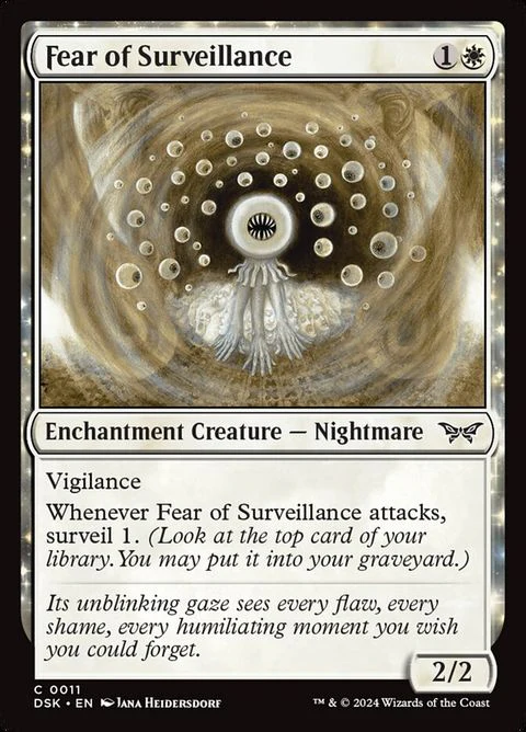 Fear of Surveillance (11)