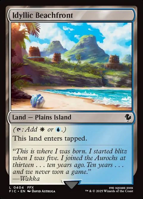Idyllic Beachfront (404)