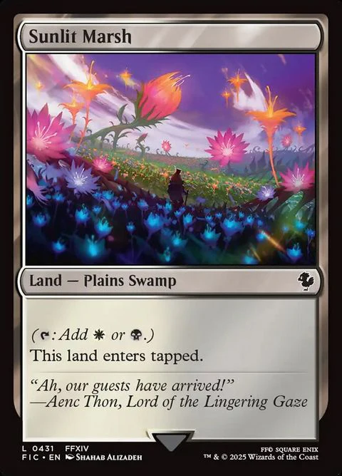 Sunlit Marsh (431)