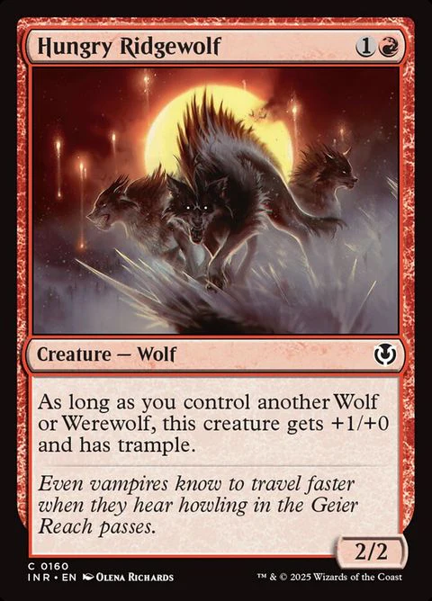 Hungry Ridgewolf (160)