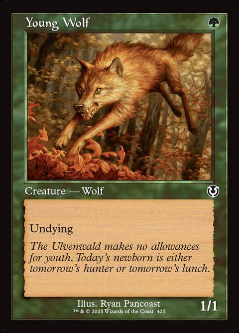 Young Wolf (425)