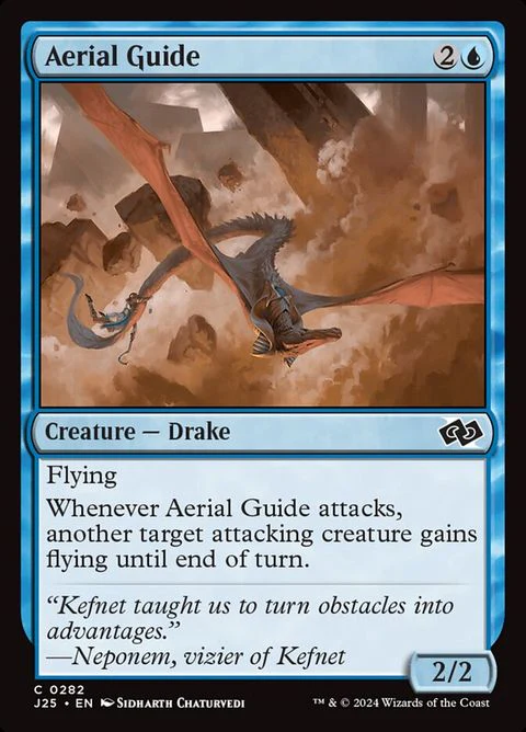 Aerial Guide (282)