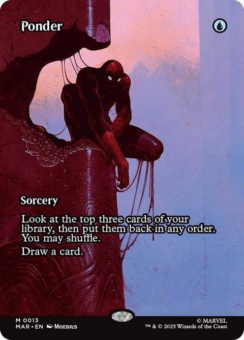 Ponder (13)