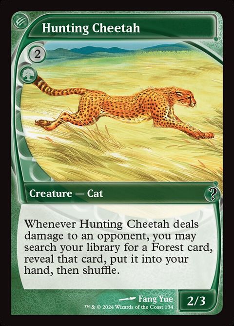 Hunting Cheetah (134)