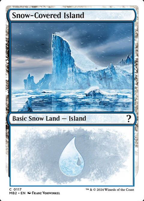 Snow-Covered Island (117)