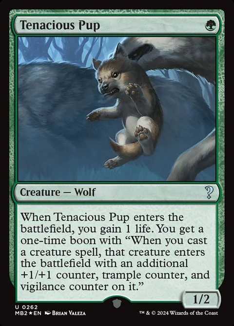 Tenacious Pup (262)