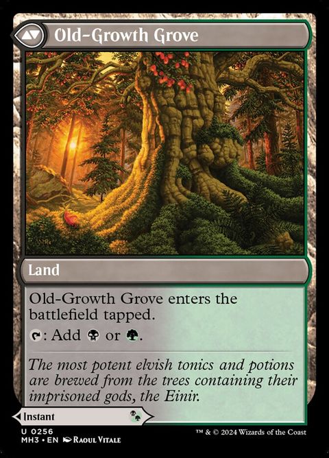 Revitalizing Repast // Old-Growth Grove (256) - Image 3