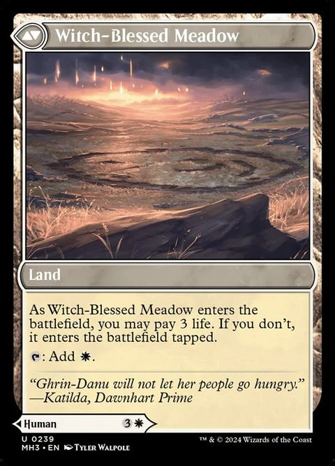 Witch Enchanter // Witch-Blessed Meadow (239) - Image 3