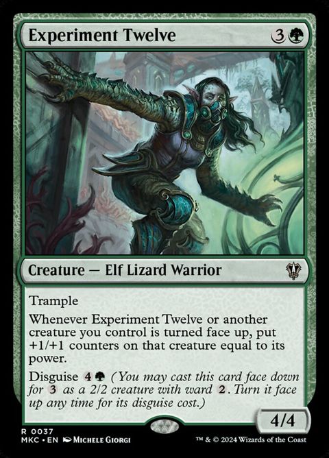Experiment Twelve (37)