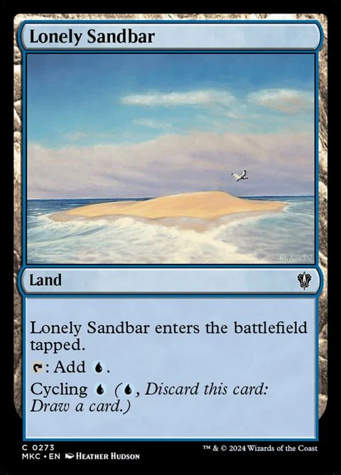 Lonely Sandbar (273)