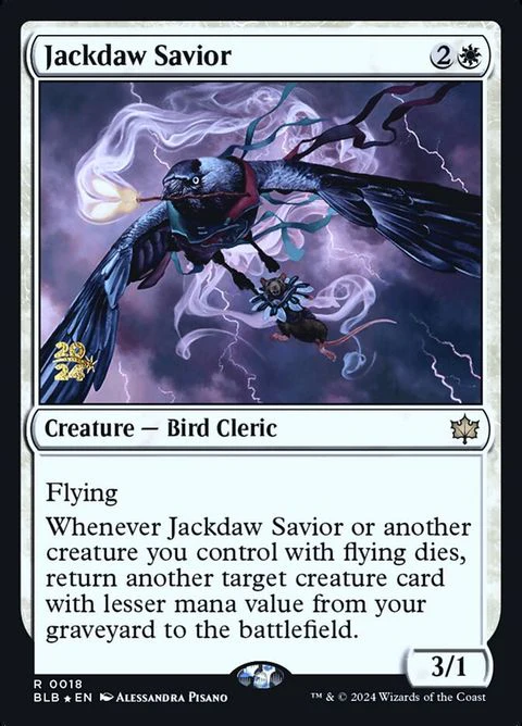 Jackdaw Savior (18s) - Date Stamped