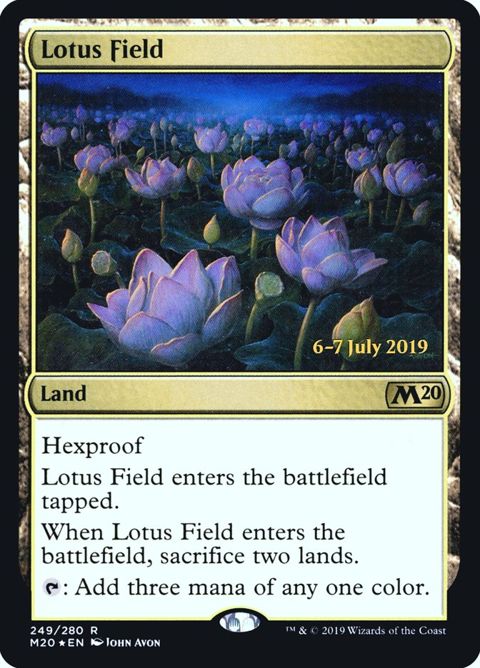 Lotus Field (249s) - Date Stamped