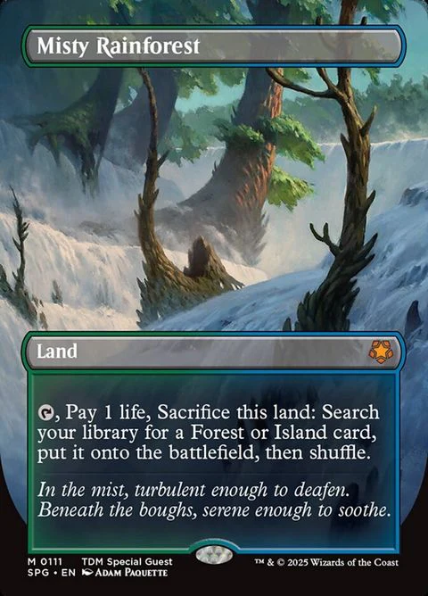Misty Rainforest (111)