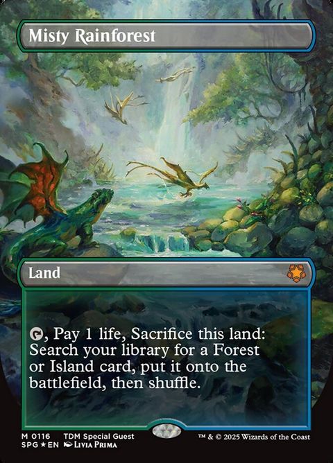 Misty Rainforest (116)