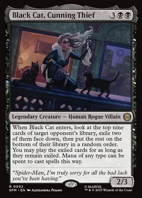 Black Cat, Cunning Thief (52)
