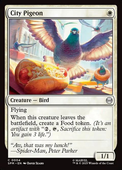 City Pigeon (4)