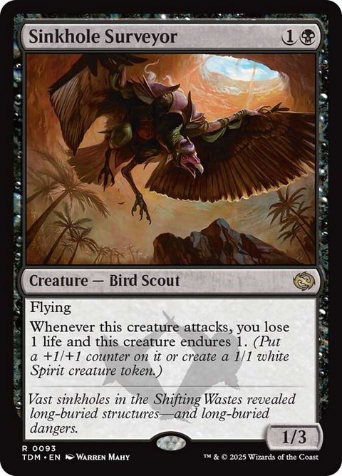 Sinkhole Surveyor (93)