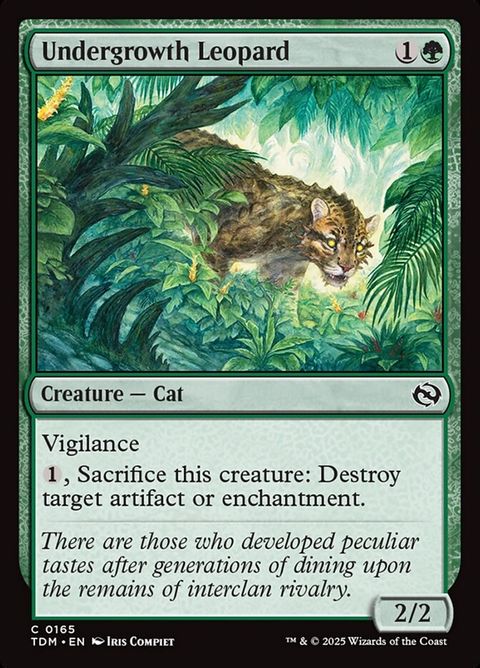 Undergrowth Leopard (165)