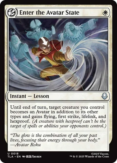Enter the Avatar State (18)