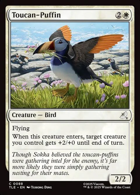 Toucan-Puffin (88)