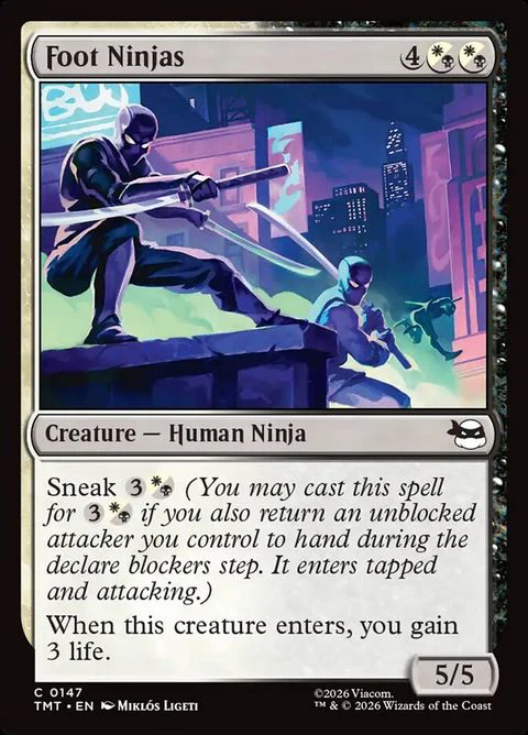Foot Ninjas (147)