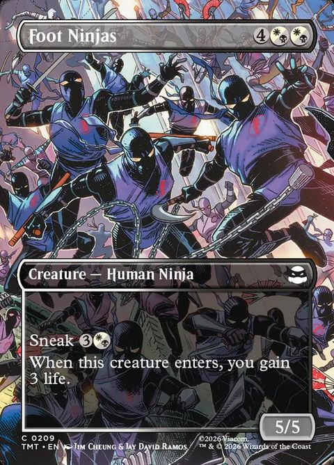 Foot Ninjas (209)