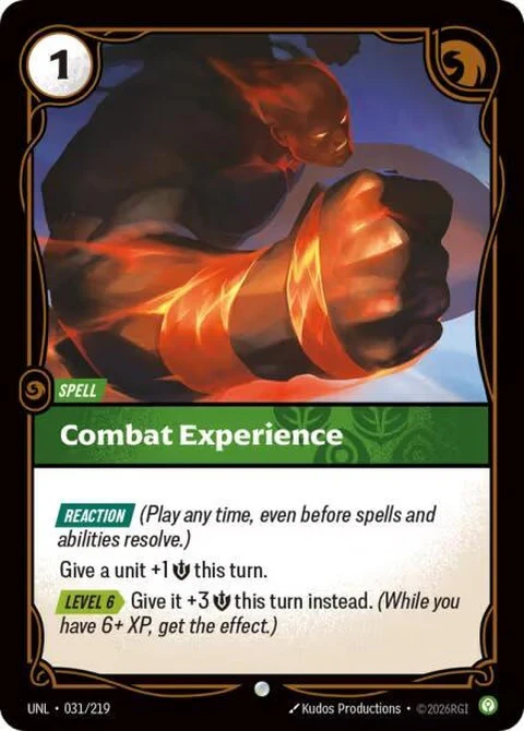 Combat Experience (31)