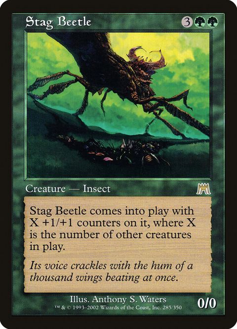 Stag Beetle (285)