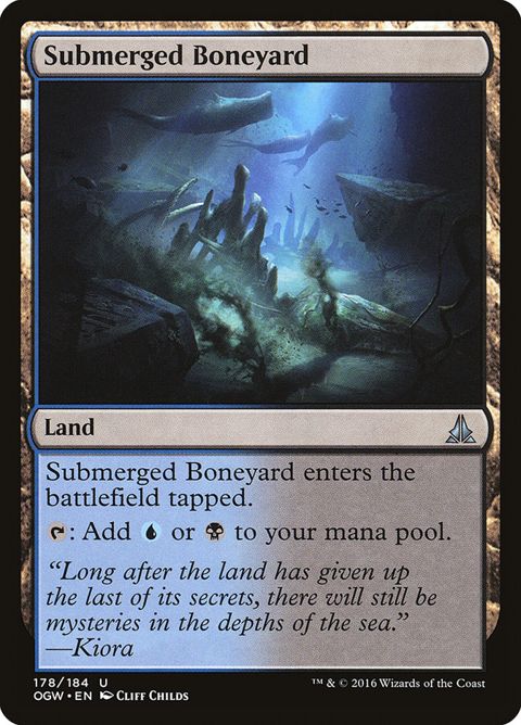 Submerged Boneyard (178)