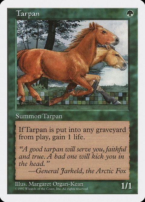 Tarpan (330)