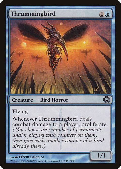 Thrummingbird (47)