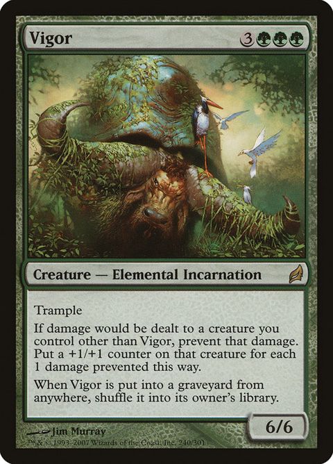 Vigor (240)